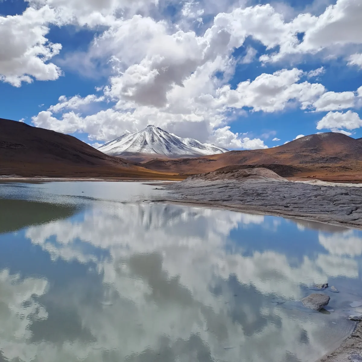 Piedras Rojas y Lagunas Altiplánicas - Tour - Imagen 4