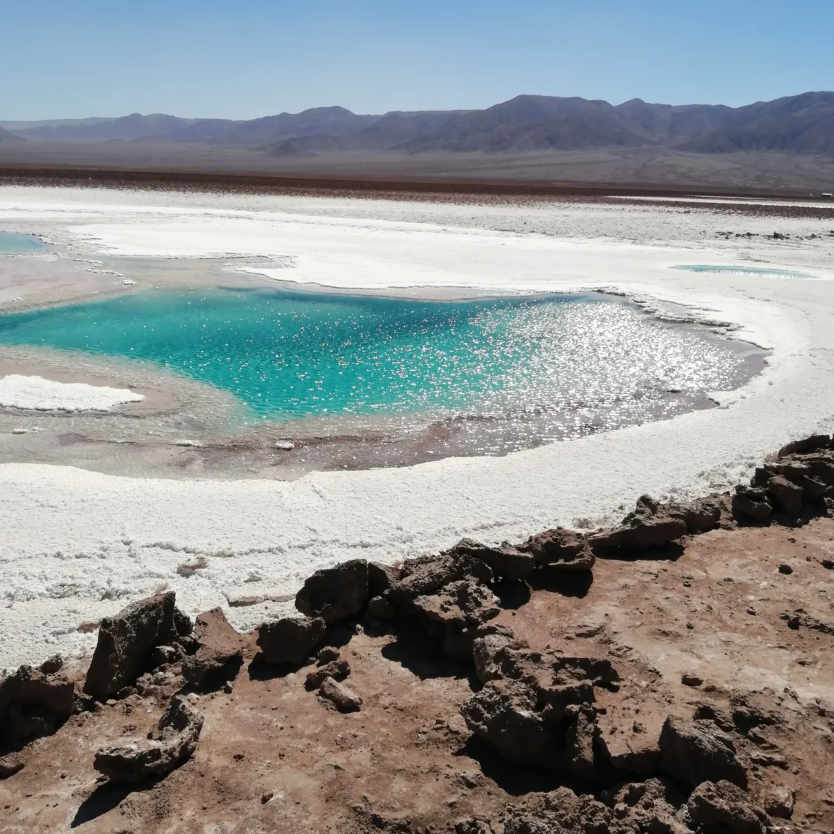 Laguna Cejar, Ojos del Salar y Laguna Tebenquiche - Tour - Imagen 3