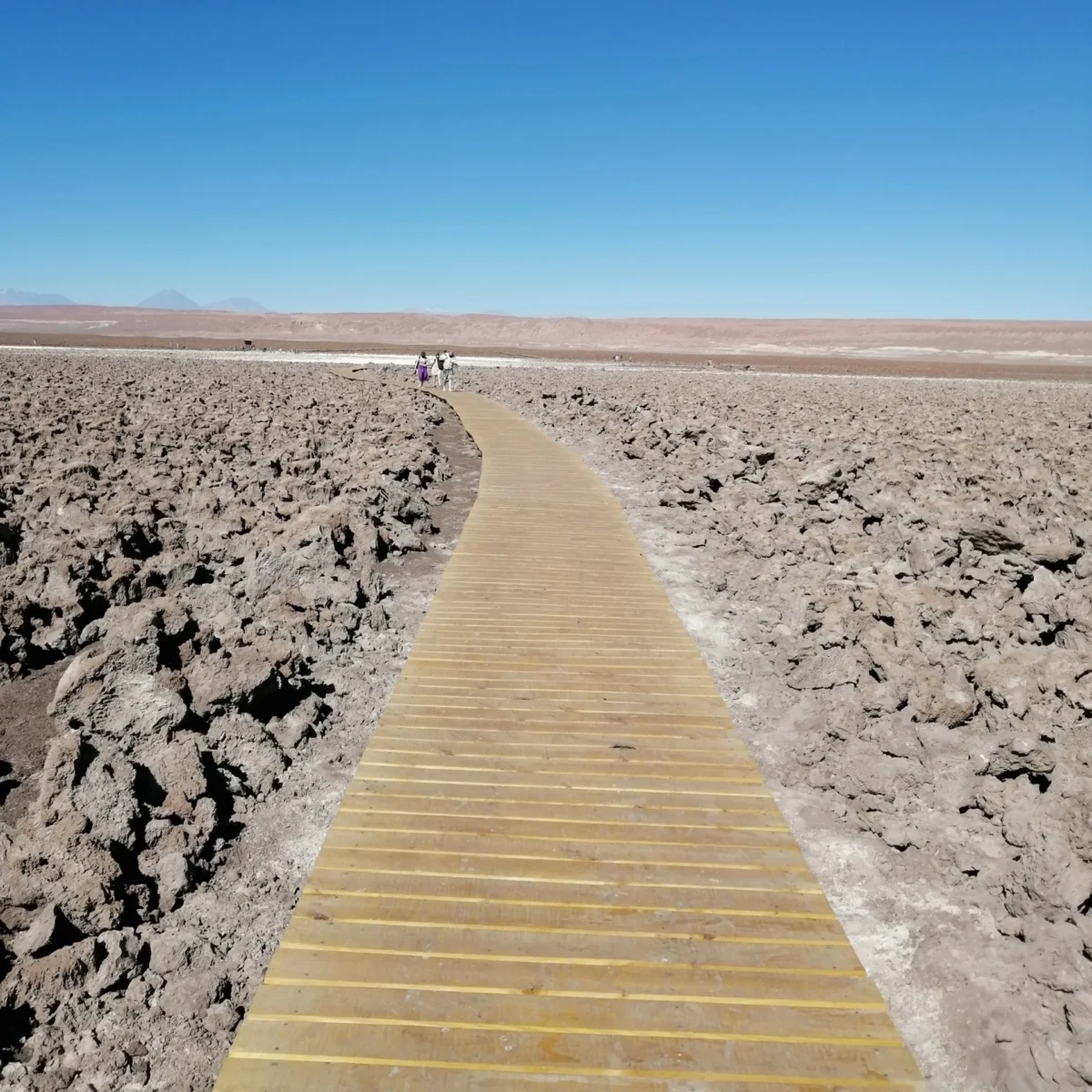 Laguna Cejar, Ojos del Salar y Laguna Tebenquiche - Tour - Imagen 2