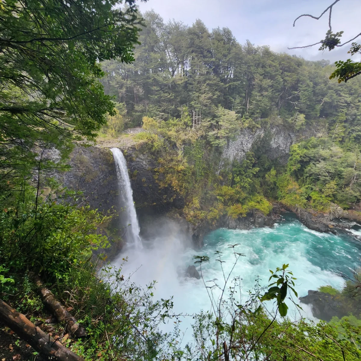 Reserva Biológica Huilo Huilo - Tour - Imagen 7