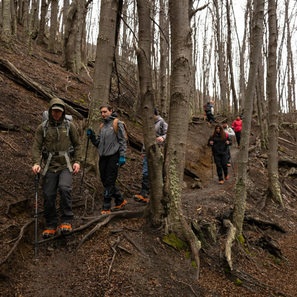 Trekking Base Mirador Torres del Paine - Imagen 4