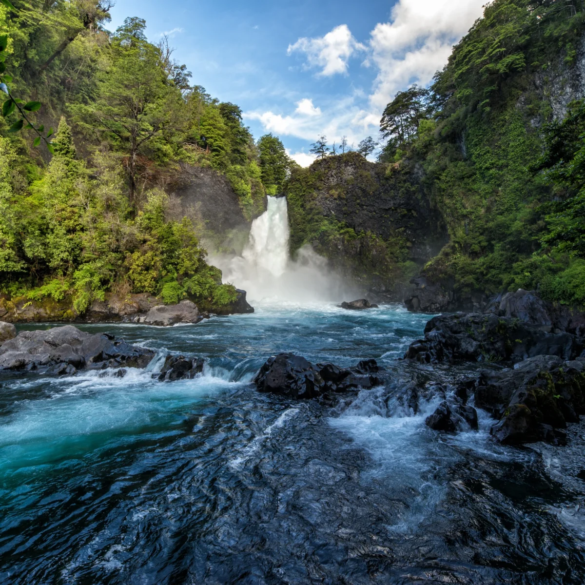 Reserva Biológica Huilo Huilo - Tour - Imagen 5