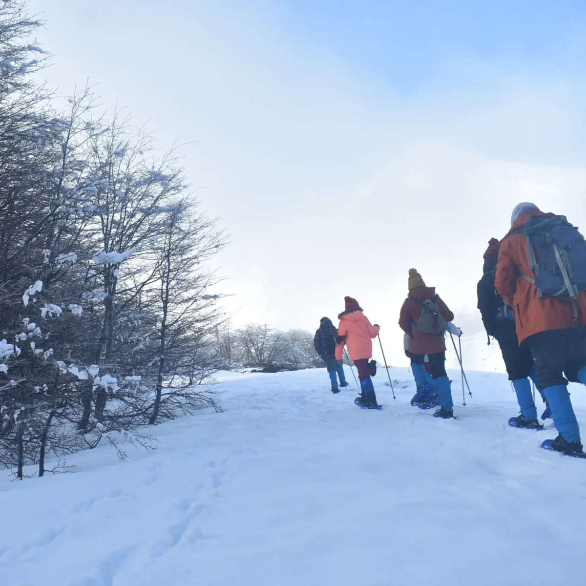 Caminata con Raquetas en el Volcán Villarrica - Tour - Imagen 4