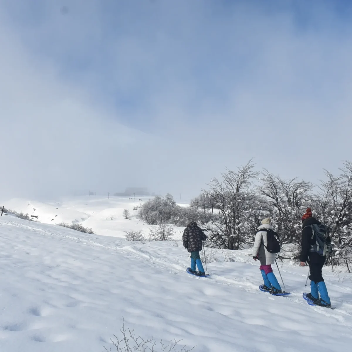 Caminata con Raquetas en el Volcán Villarrica - Tour - Imagen 6